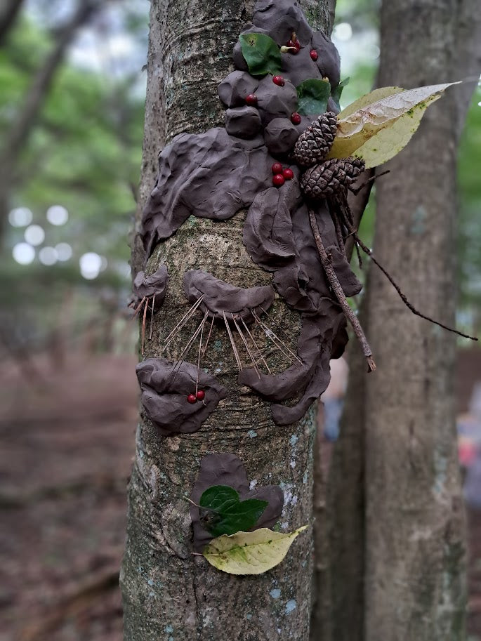 ⑦Forest Walk & Workshop "Trees Have Faces" | フォレストウォーク&ワークショップ「木には顔がある」(限定7名)