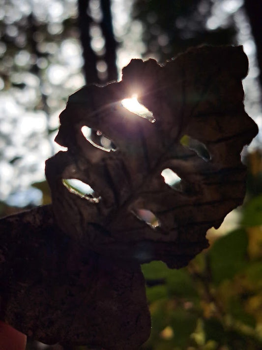 Forest Spirit | 森の精 2026 series I-k