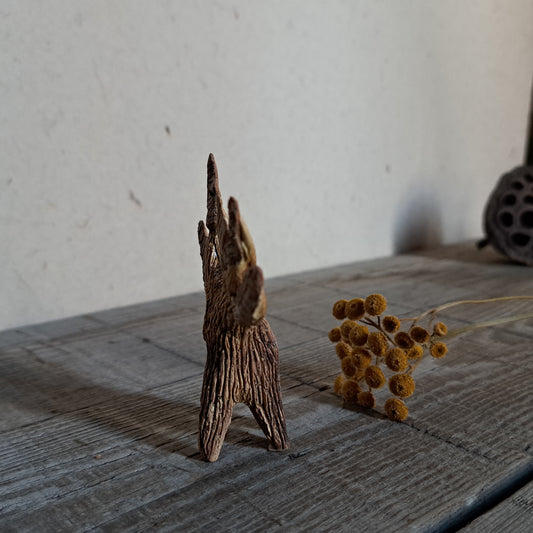 Forest Spirit | 森の精 2026 series II-e