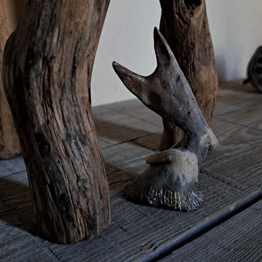 Forest Spirit | 森の精 2026 series II-i