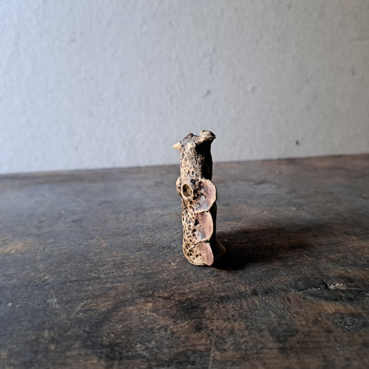 Forest Spirit | 森の精 2026 series II-h2