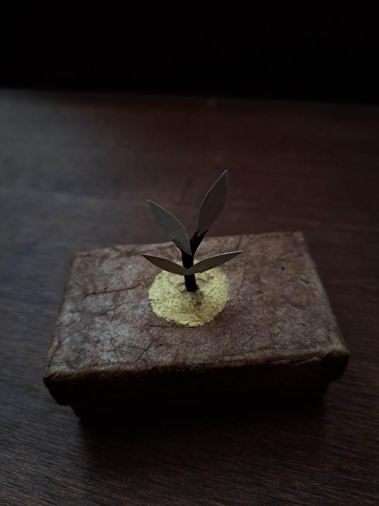 Ceramic Brooch / Come Inside The Living 生命の中へお入りください