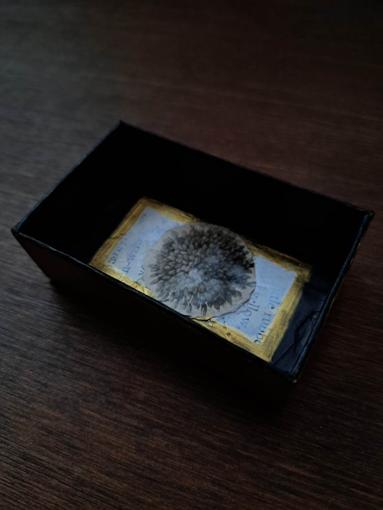 Ceramic Brooch / Come Inside The Living 生命の中へお入りください