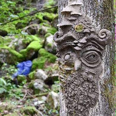 ⑦Forest Walk & Workshop "Trees Have Faces" | フォレストウォーク&ワークショップ「木には顔がある」(キャンセル)