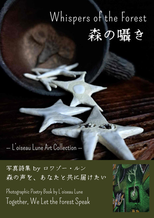 ⑥Photographic Poetry Book of L'oiseau Lune Artwork | ロワゾー・ルン写真詩集