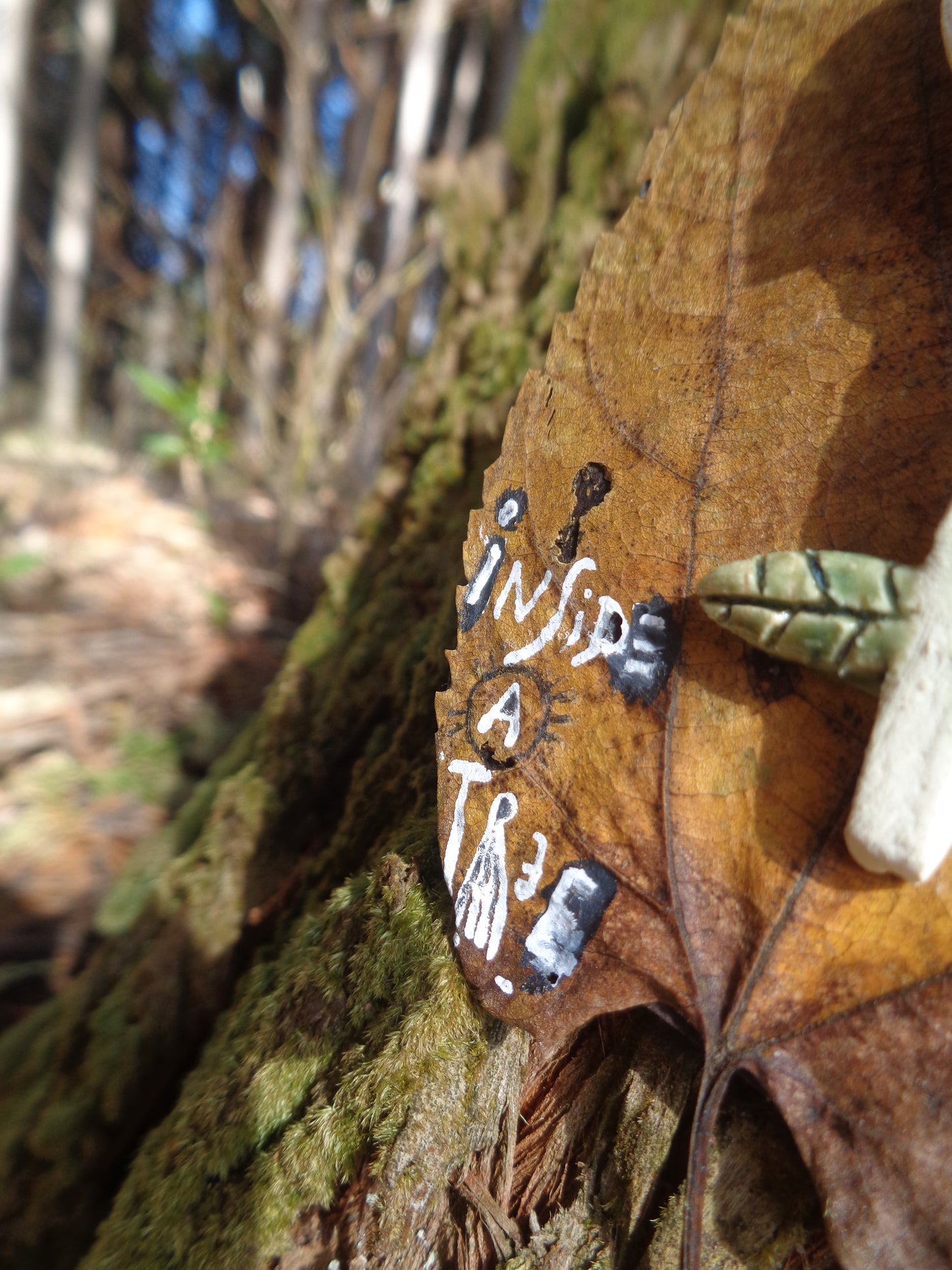 Ceramic Brooch / Inside A Tree