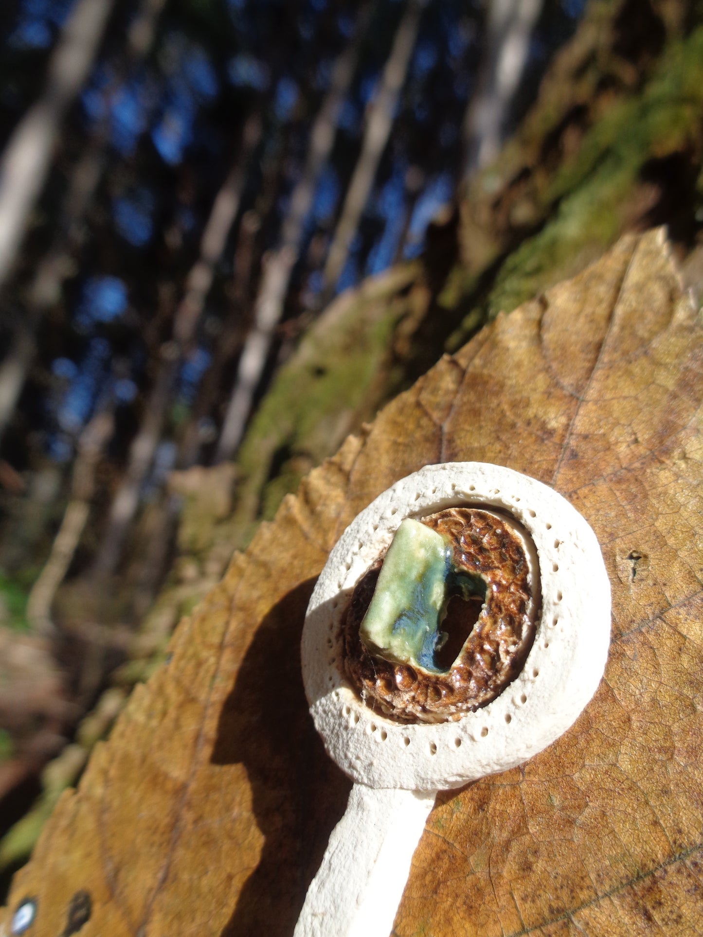 Ceramic Brooch / Inside A Tree