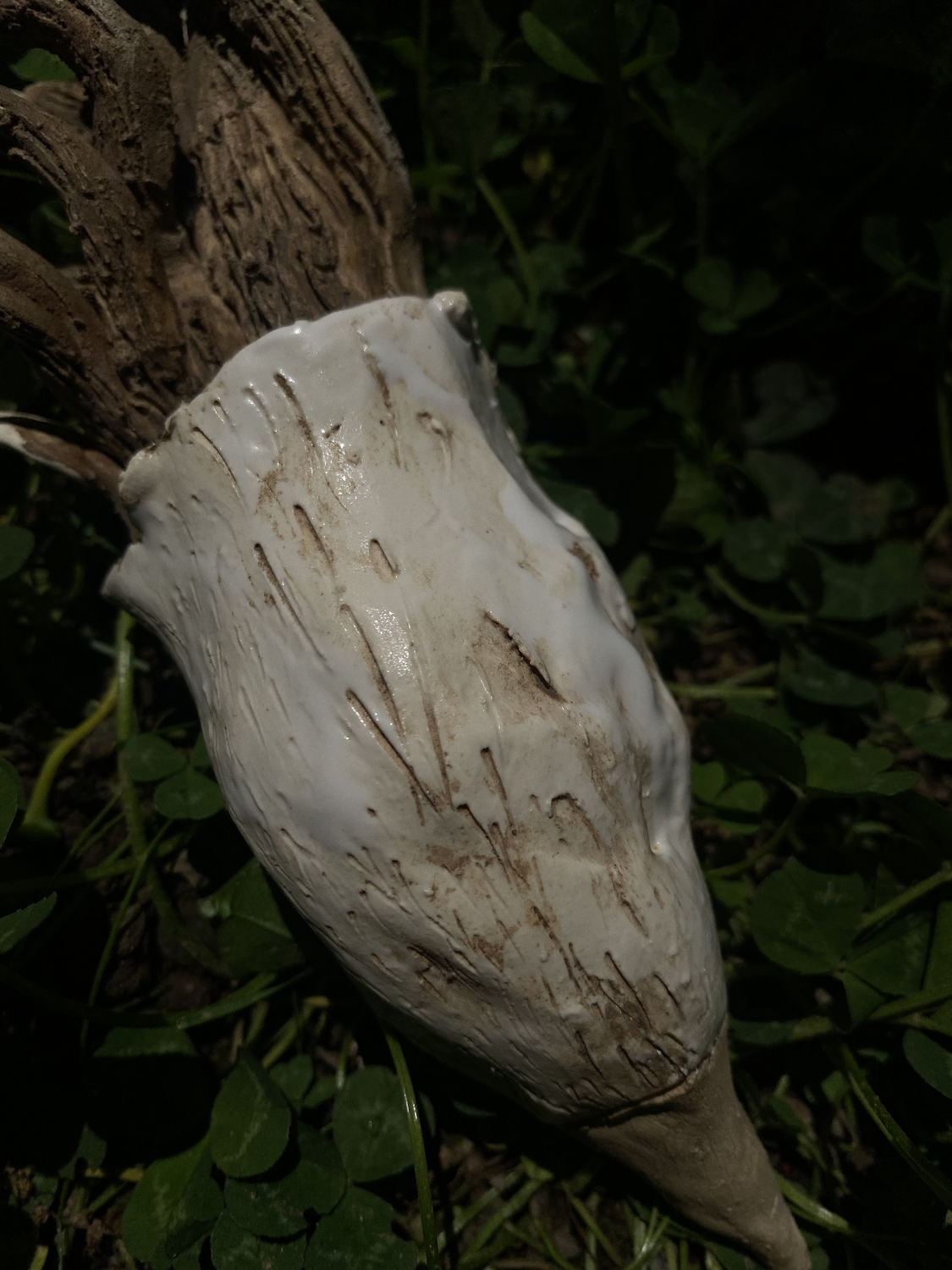 Ceramic Sculpture / Many have tried 沢山試みた