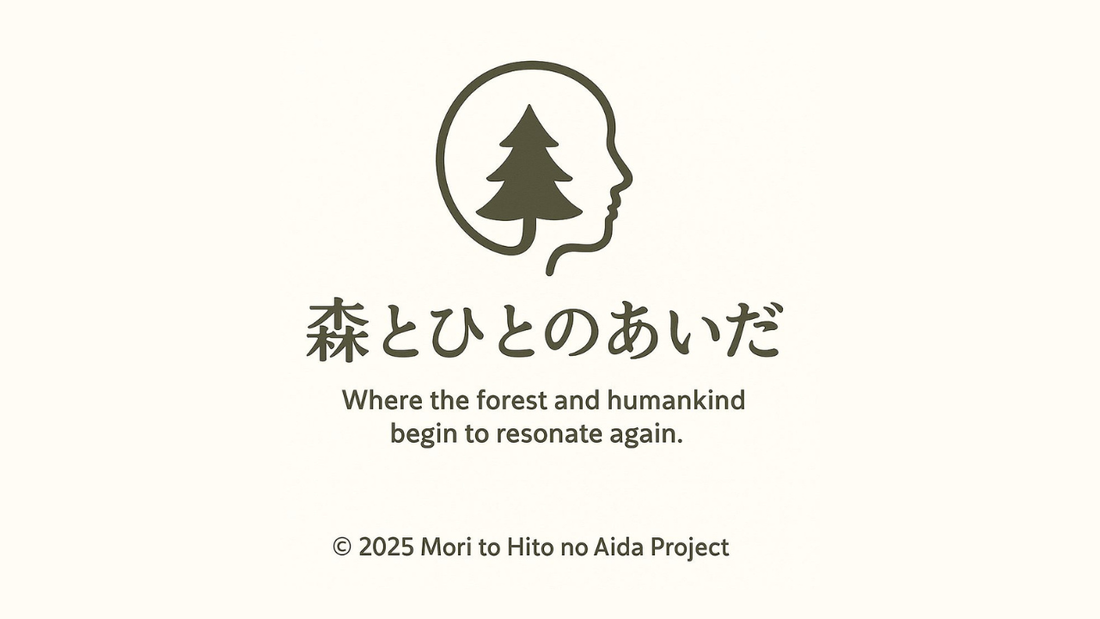新プロジェクト『森とひとのあいだ』始動・Launch of a new project -- "Between the Forest and Us"