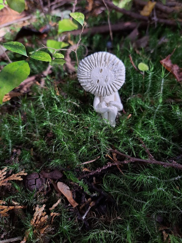 Forest Spirits | 森の精