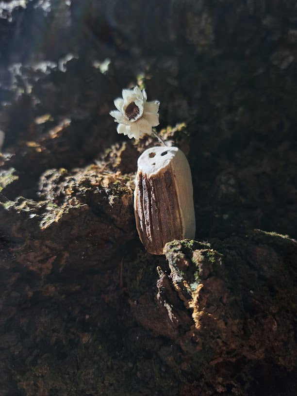 Forest Spirit | 森の精 2026 series I-a