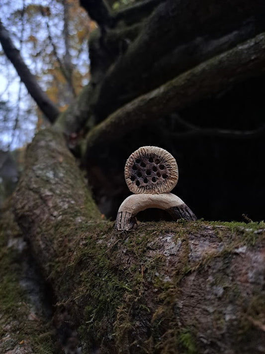 Forest Spirit | 森の精 2026 series I-e