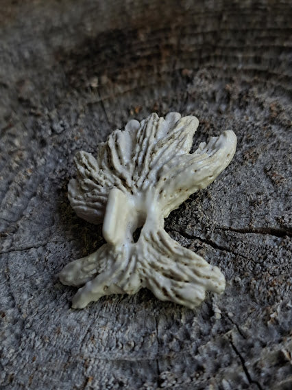 Ceramic Brooch / Tree Spirit